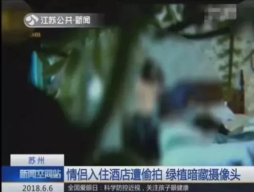 国产情侣后入视频